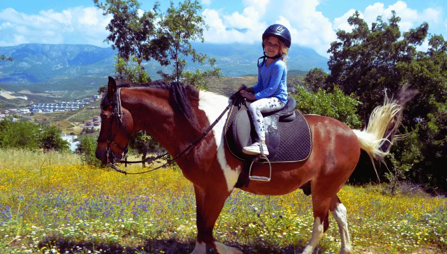 Horse riding in Syedra photo 2